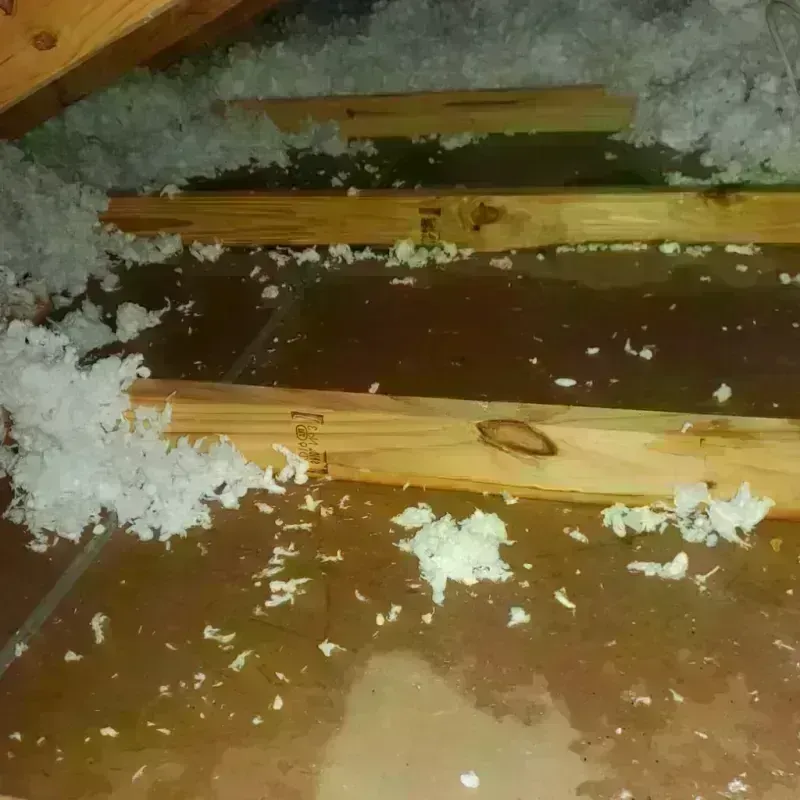 Attic Water Damage in Strong, ME