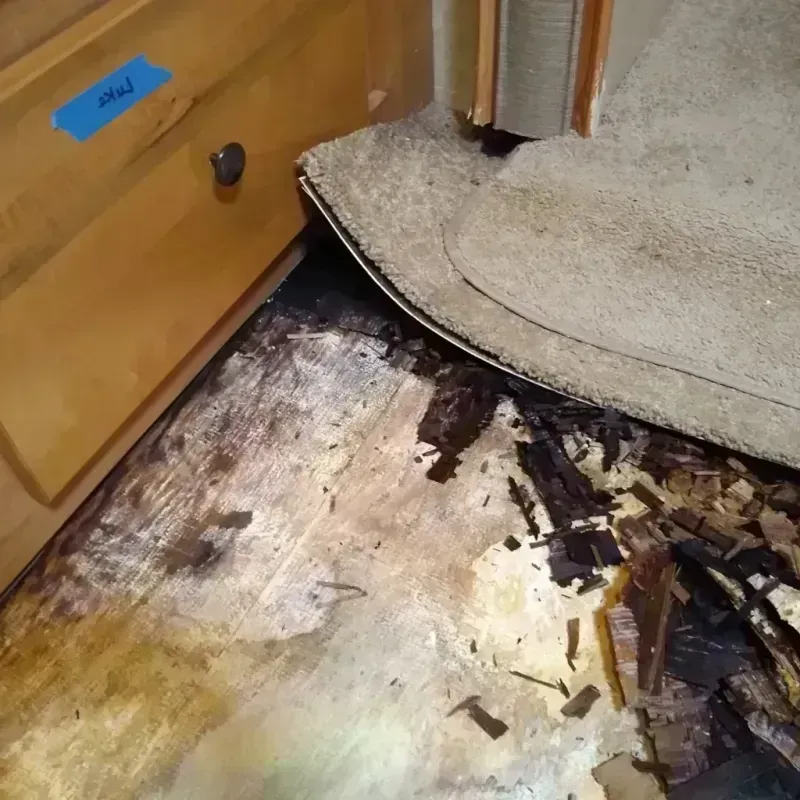 Wood Floor Water Damage in Strong, ME